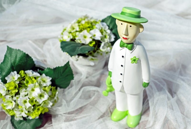 ecommerce-AUPS-min_man-person-flower-green-toy-fig-546529-pxhere.com